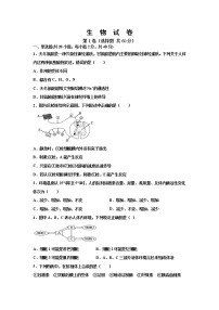 山东省泰安市新泰市第二中学2021-2022学年高二上学期期中考试生物【试卷+答案】