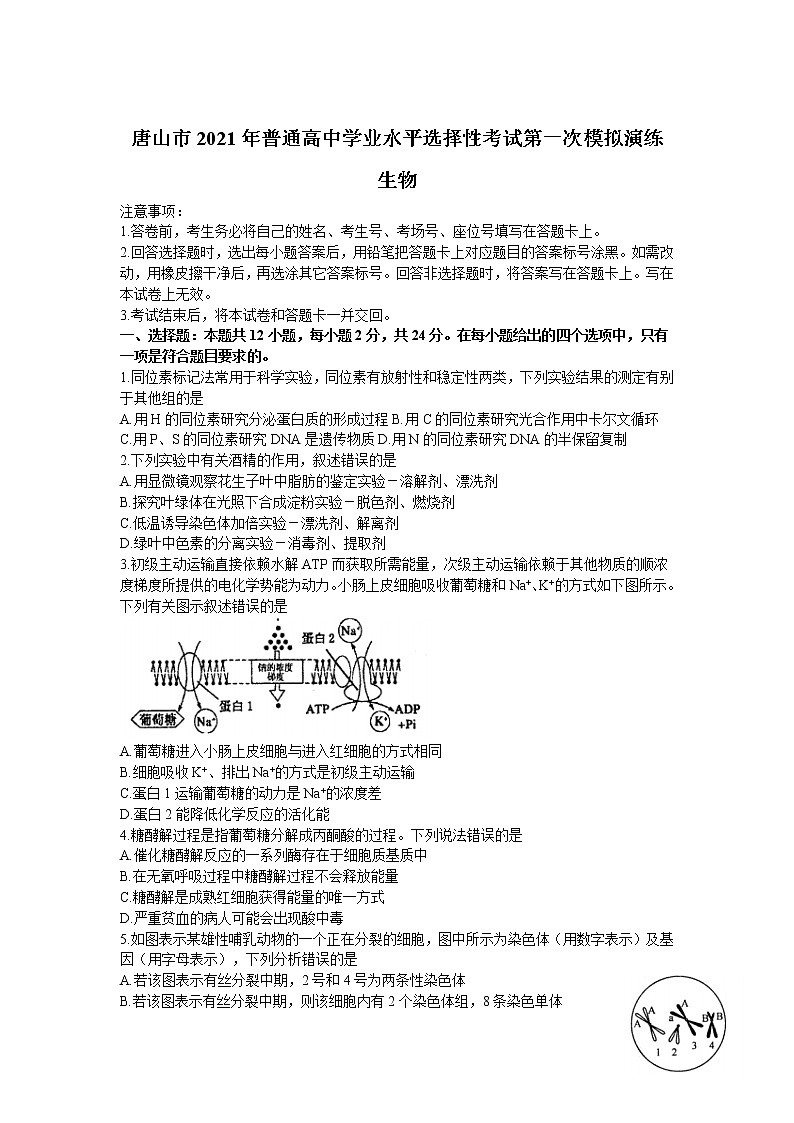 河北省唐山市2021届高三下学期3月一模考试生物试卷第1页