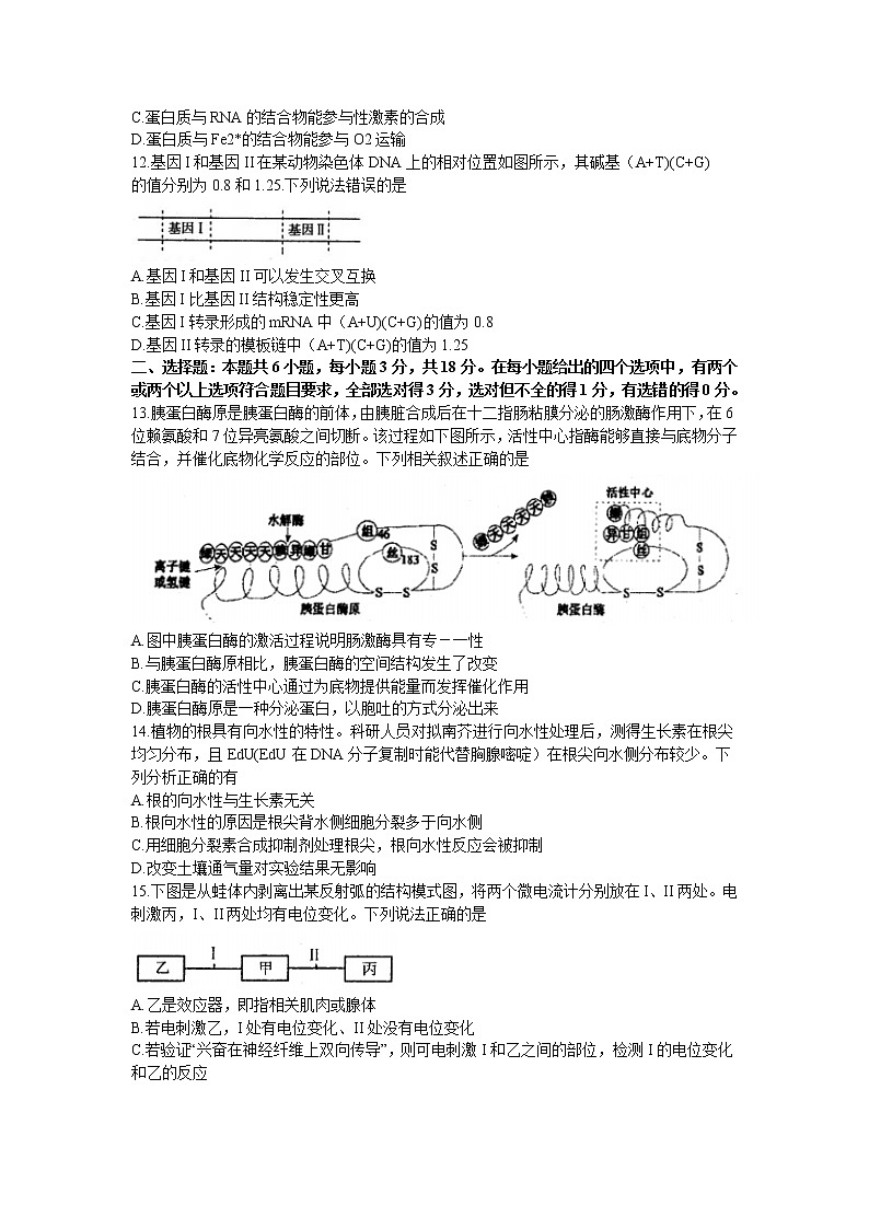 河北省唐山市2021届高三下学期3月一模考试生物试卷第3页