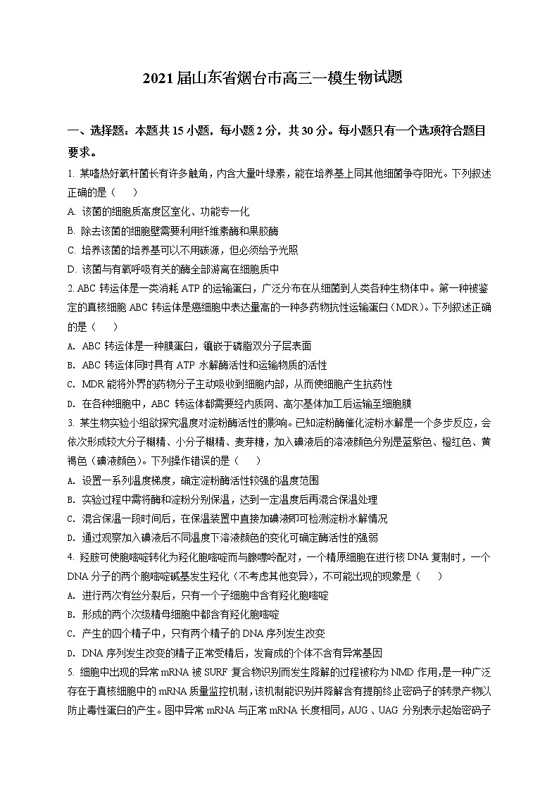 2021届山东省烟台市高三一模生物试题（含答案）01