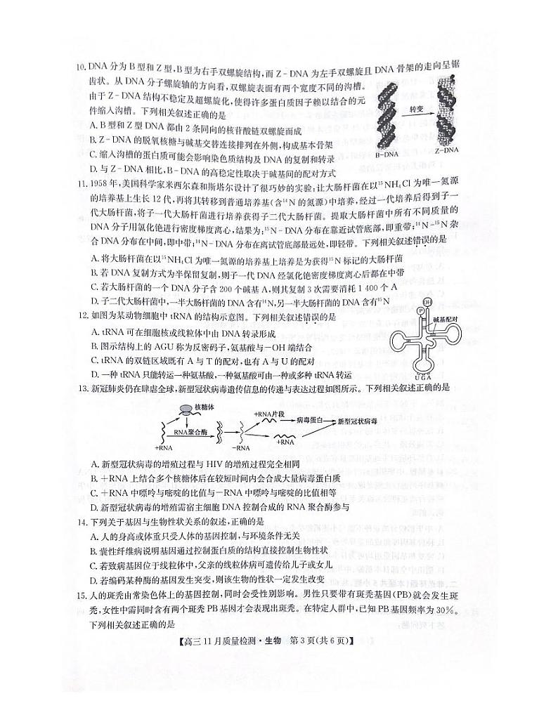 生物试卷第3页