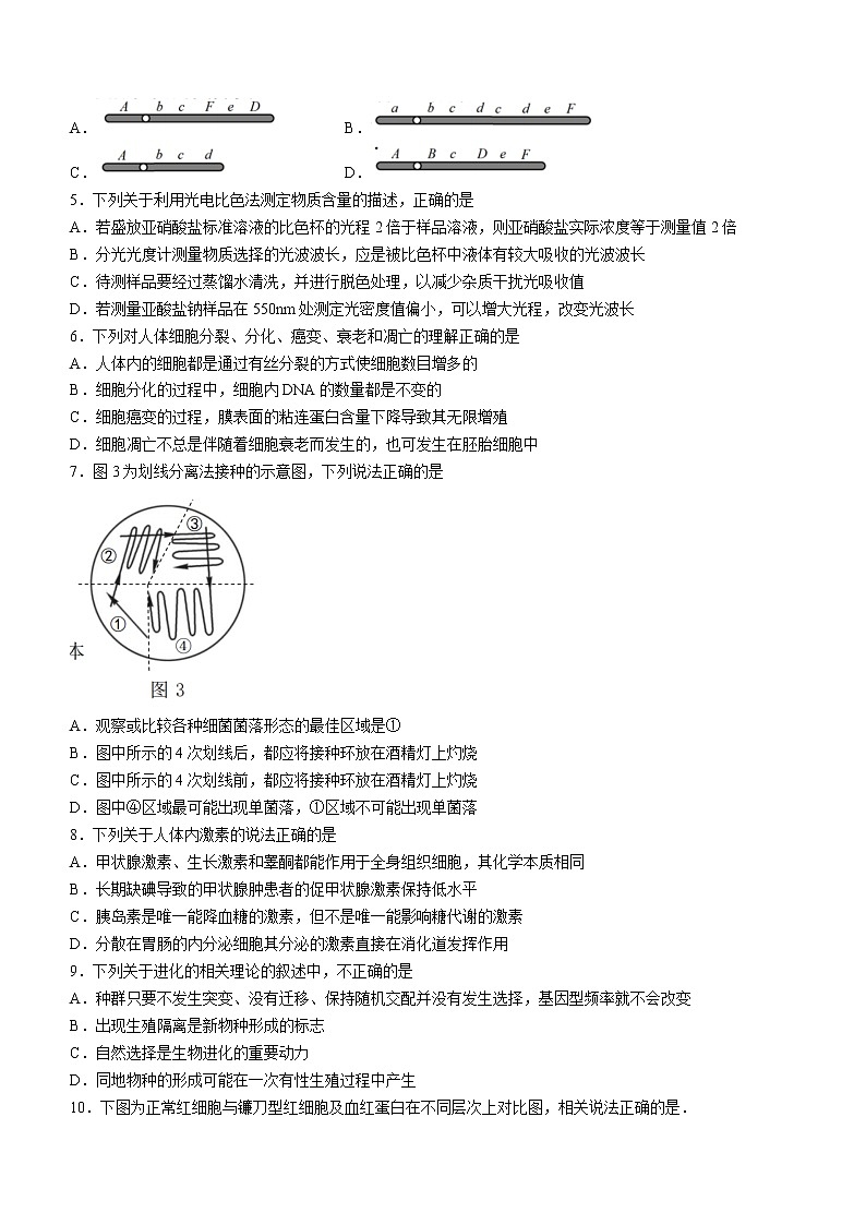 浙江省七彩阳光新高考研究联盟2021-2022学年高三上学期期中生物试题第2页