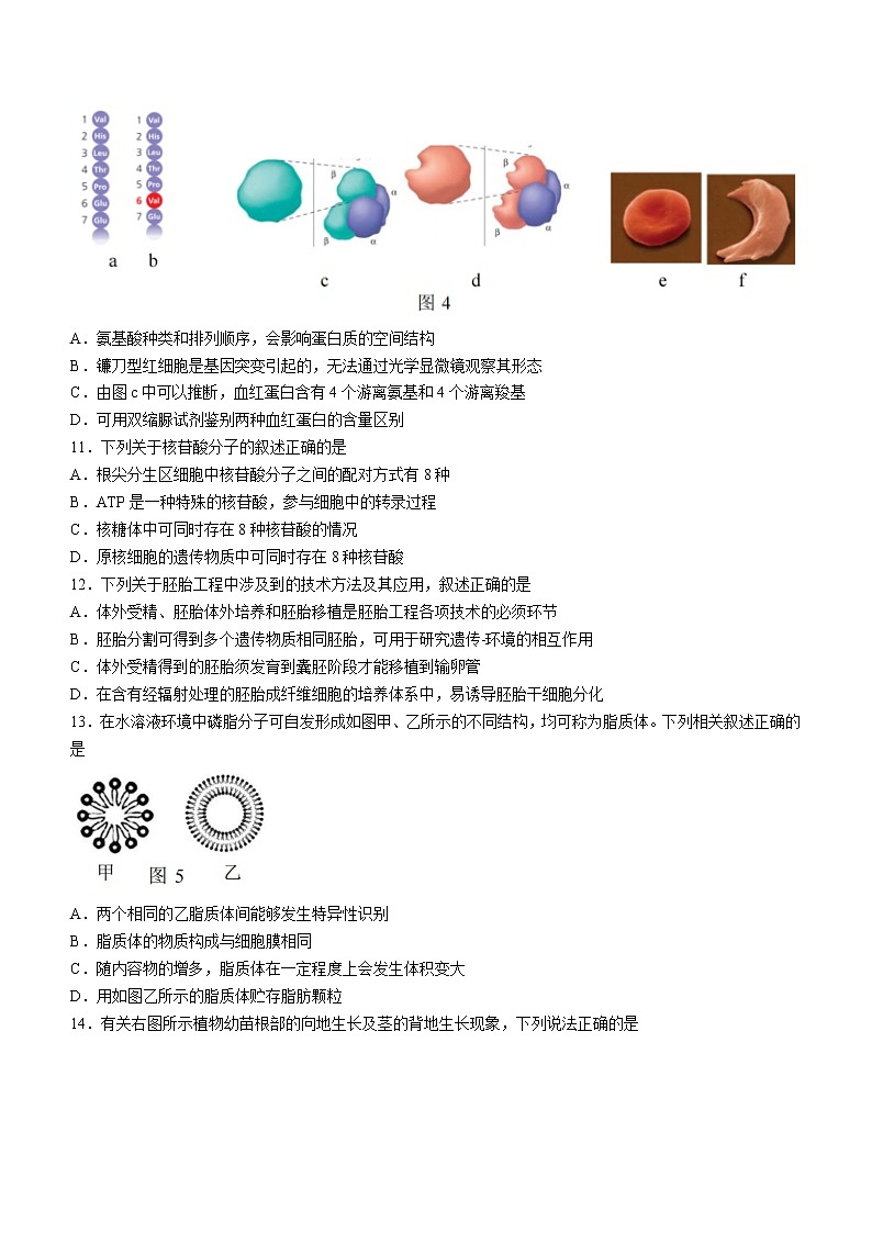 浙江省七彩阳光新高考研究联盟2021-2022学年高三上学期期中生物试题第3页