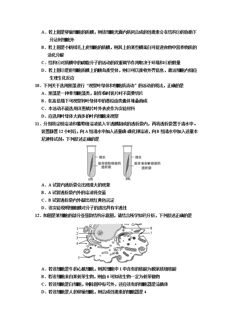 浙江省浙北G2（湖州中学、嘉兴一中）2021-2022学年高一上学期期中联考生物试题含答案03