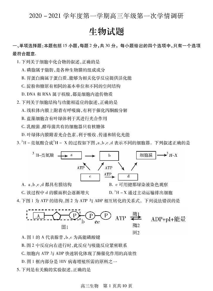 2021届江苏省徐州市沛县高三上学期第一次学情调研生物试题 PDF版01