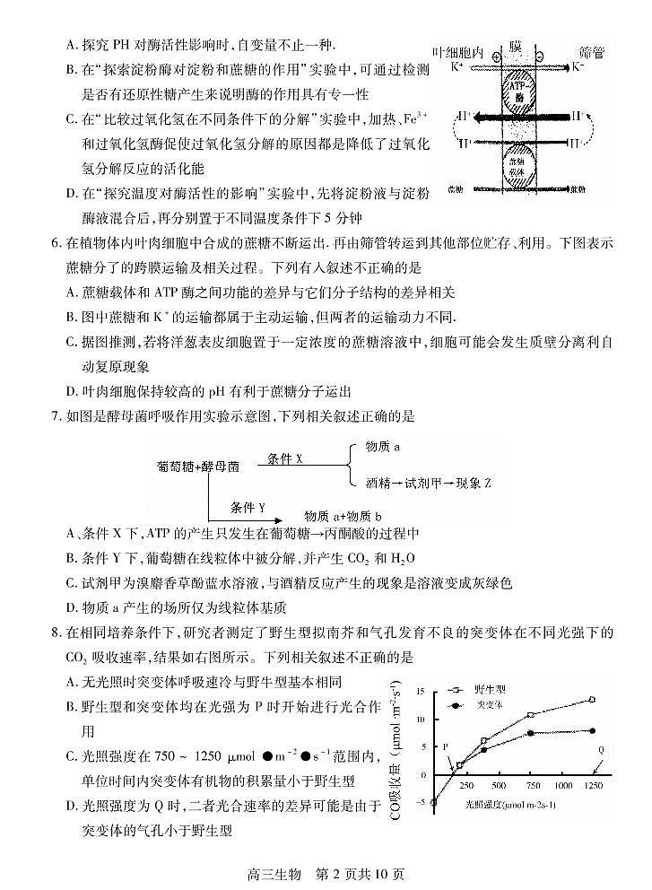 2021届江苏省徐州市沛县高三上学期第一次学情调研生物试题 PDF版02