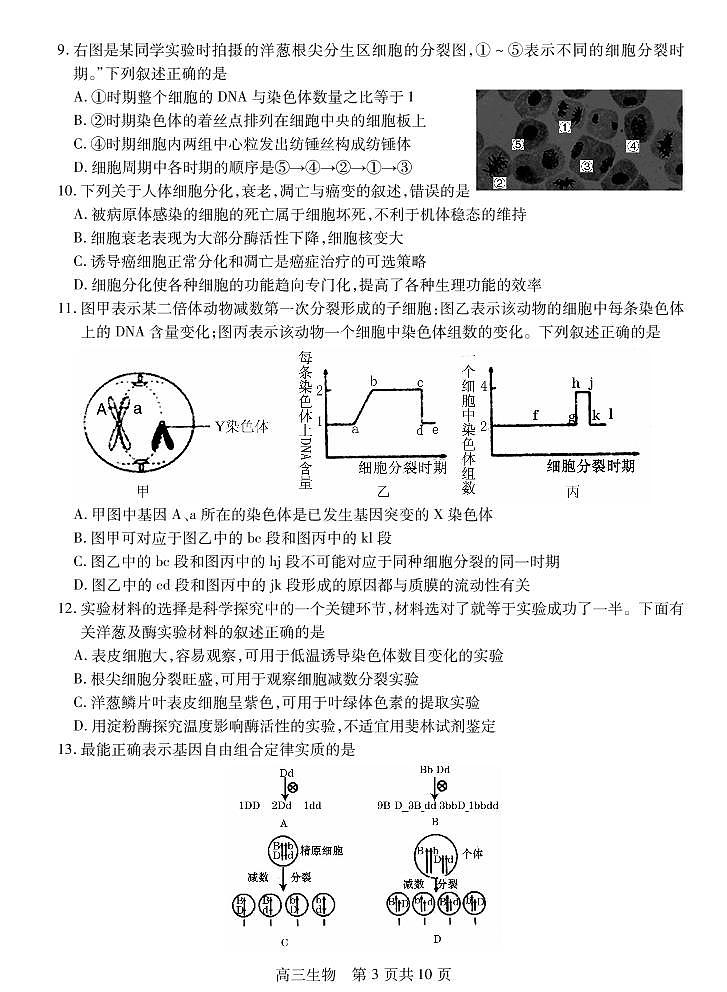 2021届江苏省徐州市沛县高三上学期第一次学情调研生物试题 PDF版03
