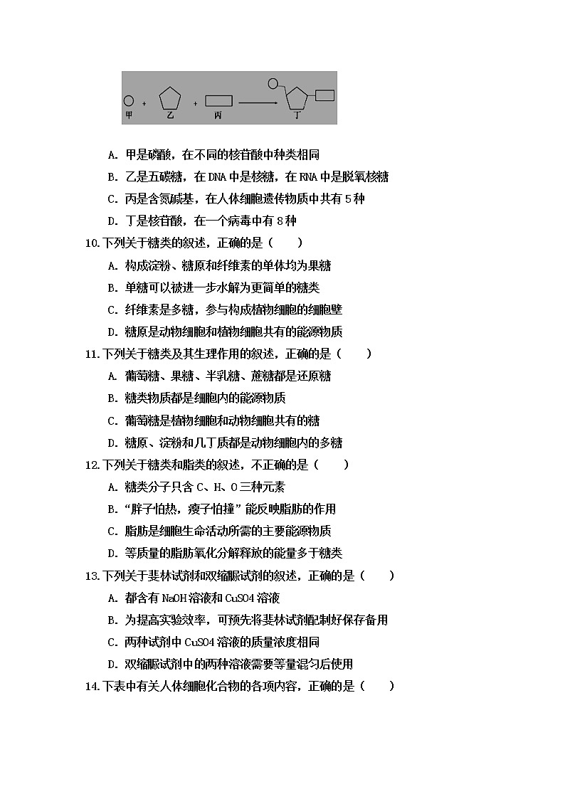 内蒙古巴彦淖尔市临河区第三中学2021-2022学年高一上学期期中考试生物【试卷+答案】第3页