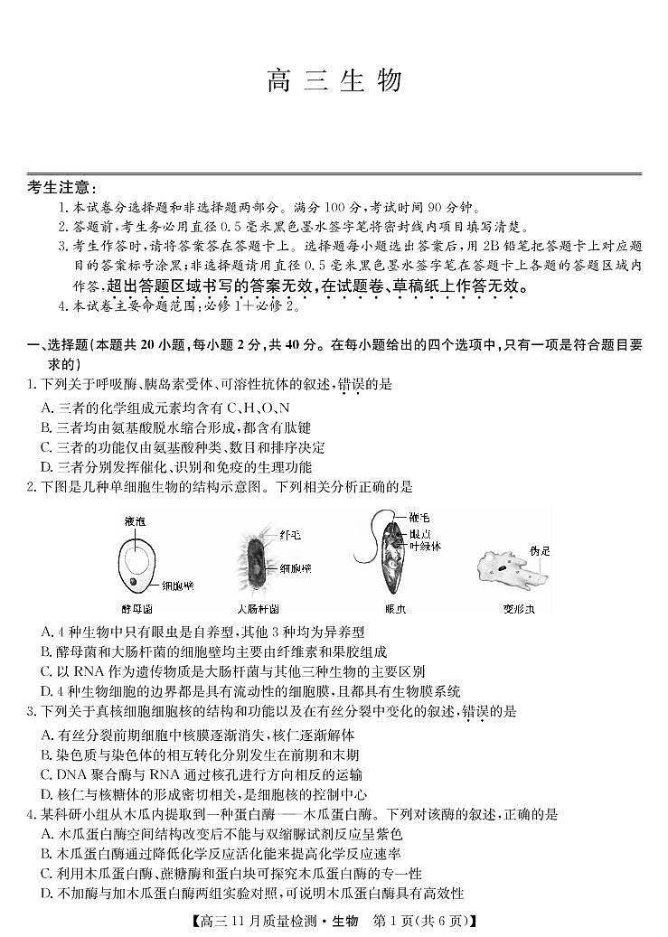 九师联盟2022届高三上学期11月质量检测（老高考）生物PDF版含答案01