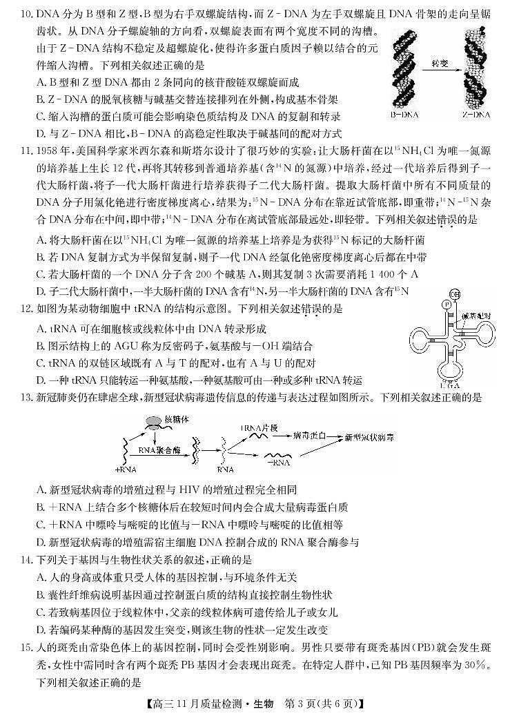 九师联盟2022届高三上学期11月质量检测（老高考）生物PDF版含答案03