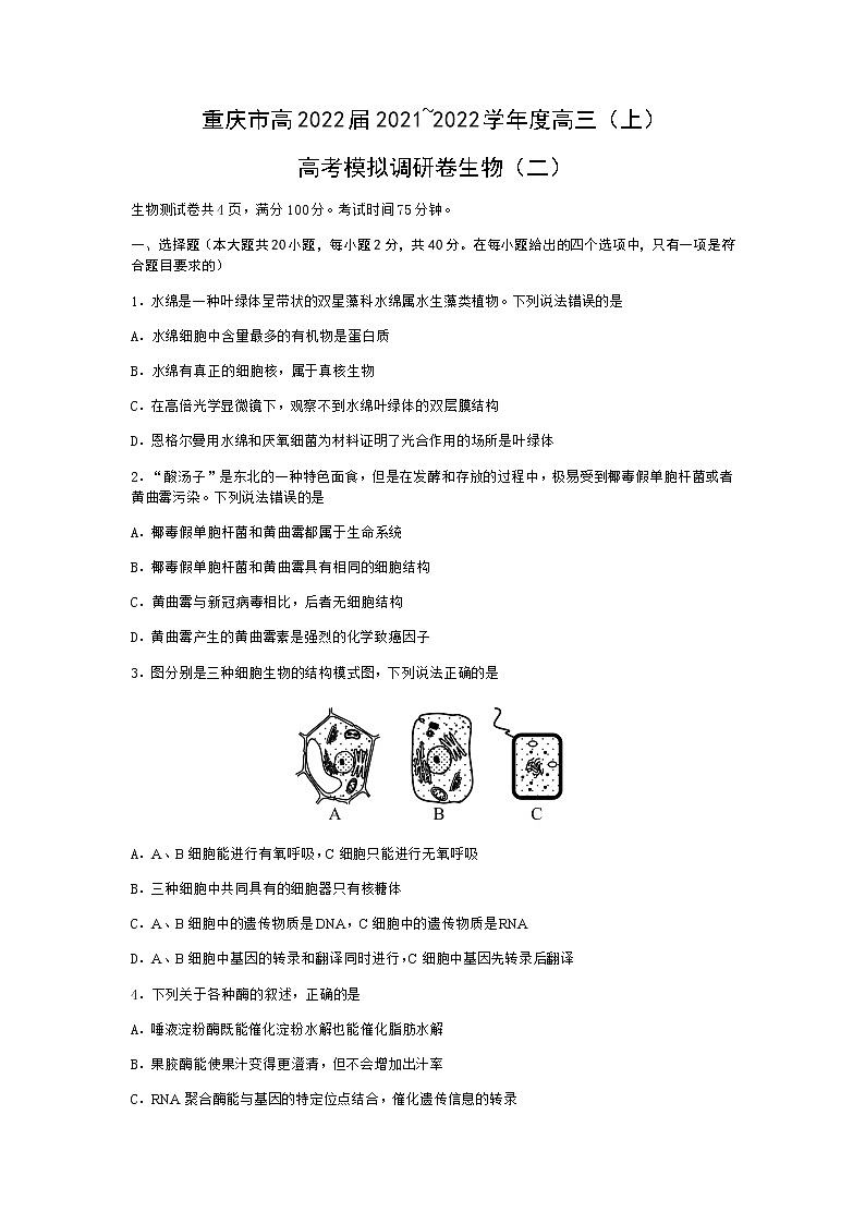 重庆市2022届高三上学期11月高考模拟调研卷（二）生物试题含答案01