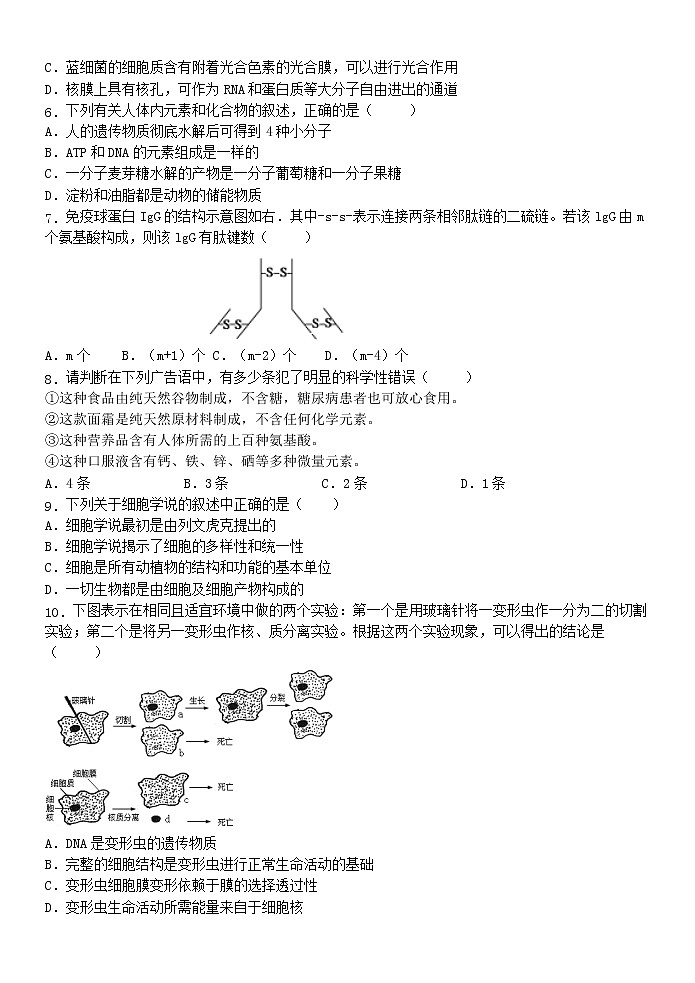 鐢熺墿璇曞嵎第2页