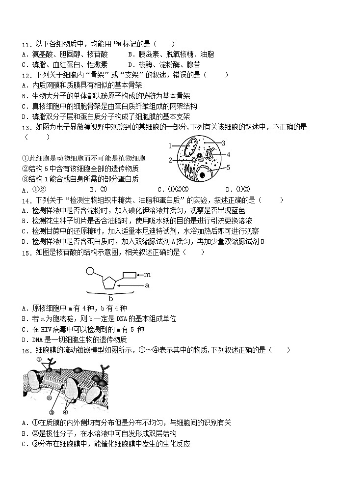 鐢熺墿璇曞嵎第3页