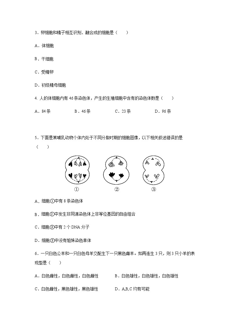 江苏省扬州中学2020-2021学年高一下学期期中生物试题02