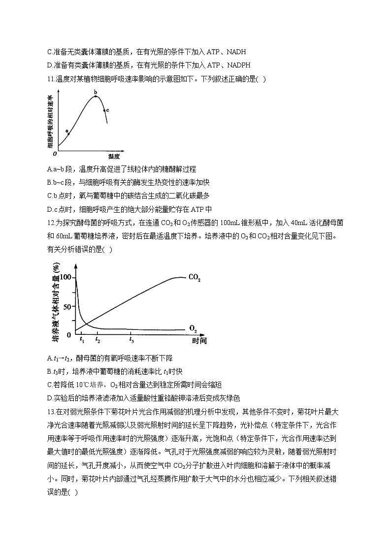 新课标新高考2022届高考生物二轮复习专题练（二）：细胞代谢（江苏地区使用）03
