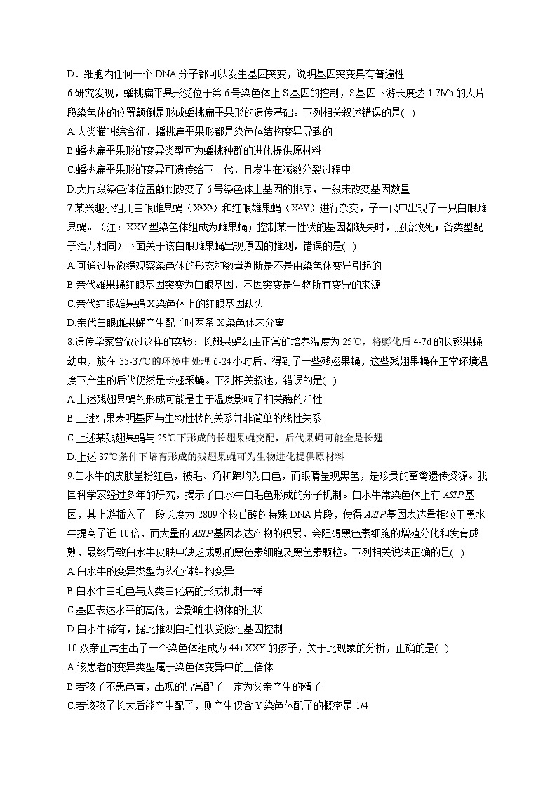 新课标新高考2022届高考生物二轮复习专题练（五）：遗传的分子基础、变异与进化（江苏地区使用）第2页