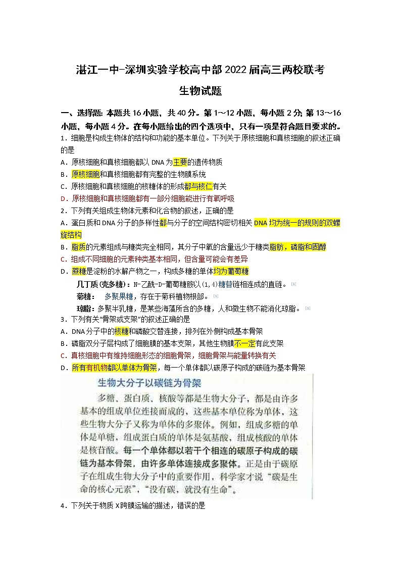广东省湛江一中、深圳实验学校2022届高三上学期10月联考试题生物含答案（答案不全）第1页