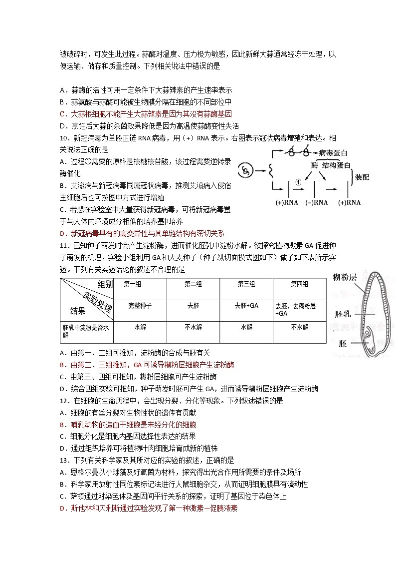 广东省湛江一中、深圳实验学校2022届高三上学期10月联考试题生物含答案（答案不全）第3页