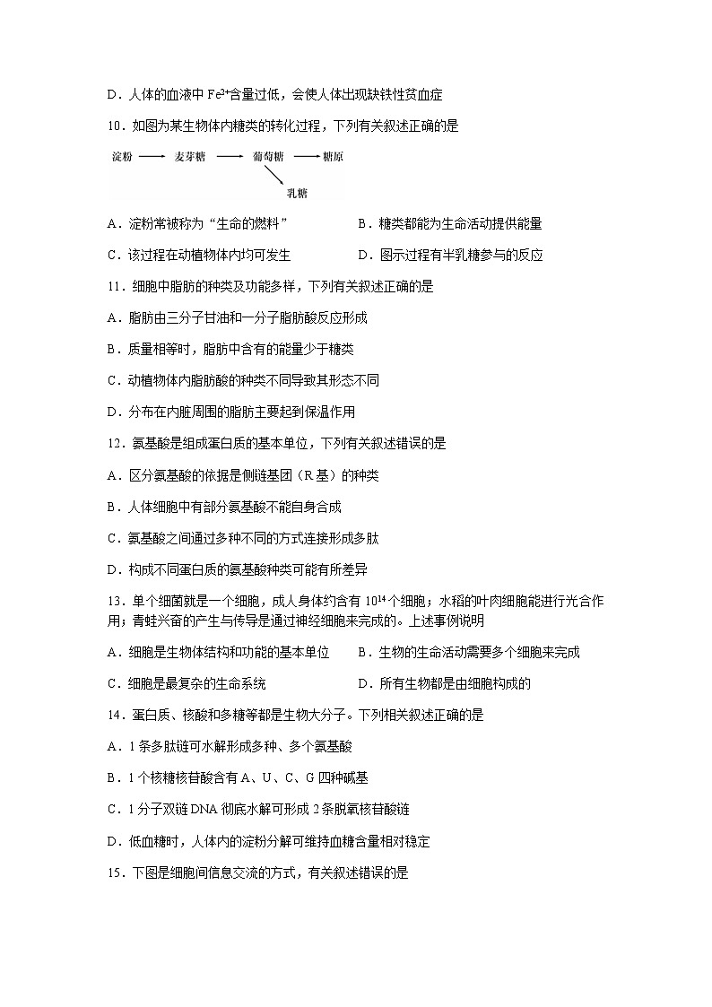 广东省八校2021-2022学年高一上学期期中调研考试生物试题含答案03