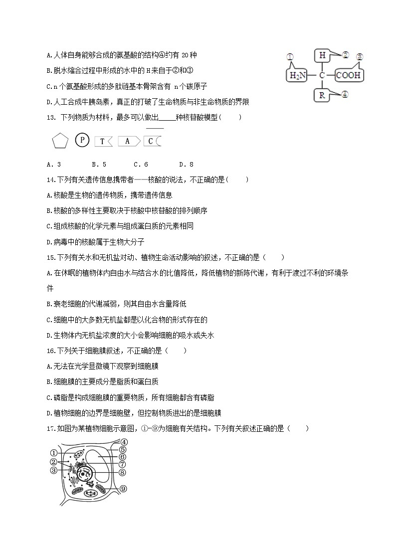 四川绵阳中学实验学校2021-2022学年高一上学期期中考试生物【试卷+答案】03