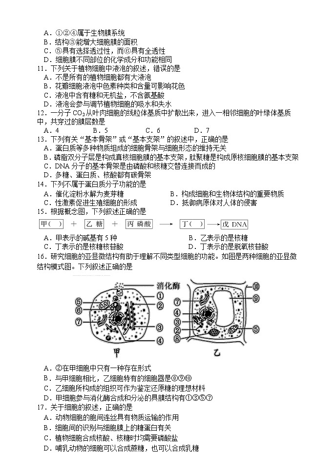 江苏省高邮市2021-2022学年高一上学期期中生物【试卷+答案】02