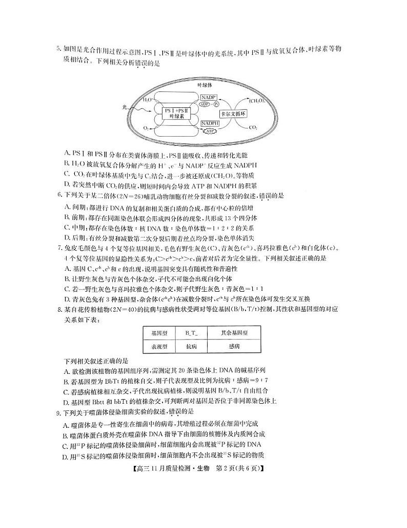 鐢熺墿璇曞嵎第2页