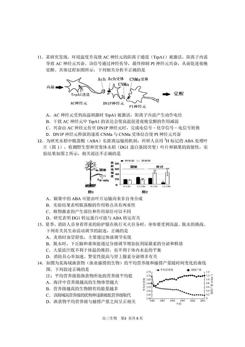 江苏省新高考基地学校2022届高三上学期期中大联考试题生物PDF版含答案（可编辑）03