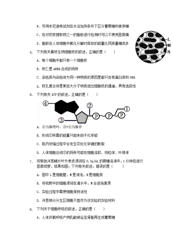 浙江省S9联盟2021-2022学年高二上学期期中联考生物试题含答案02