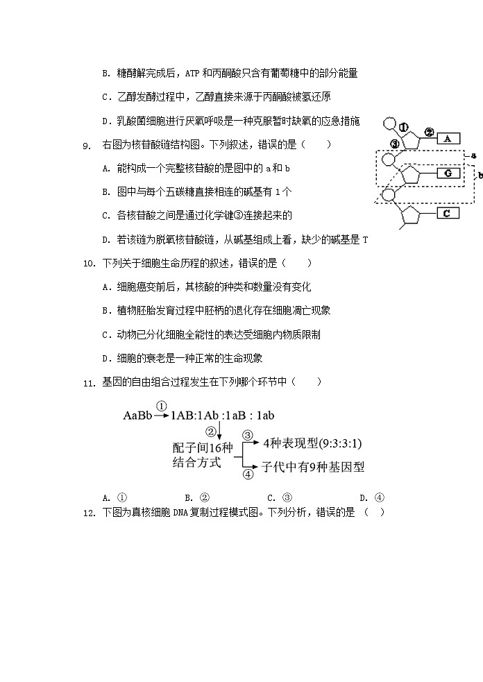 浙江省S9联盟2021-2022学年高二上学期期中联考生物试题含答案03