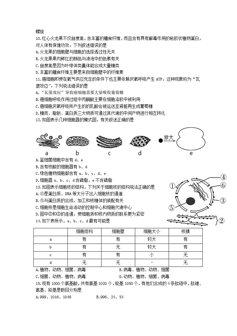 浙江省台州市“十校联盟”2021-2022学年高一上学期期中考试生物试卷含答案02