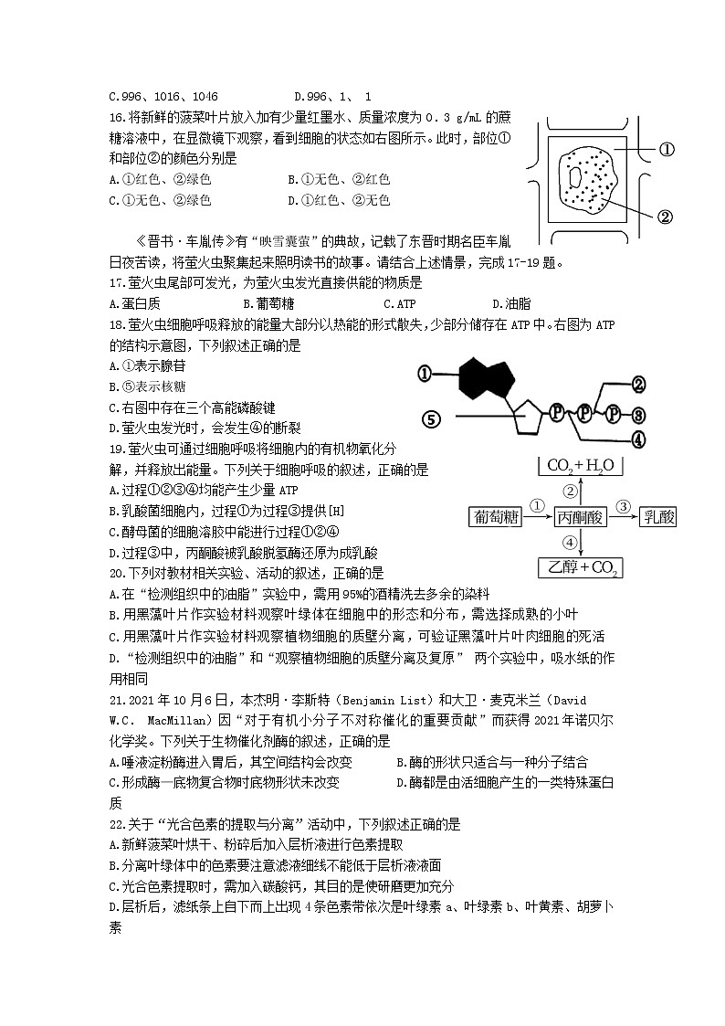 浙江省台州市“十校联盟”2021-2022学年高一上学期期中考试生物试卷含答案03