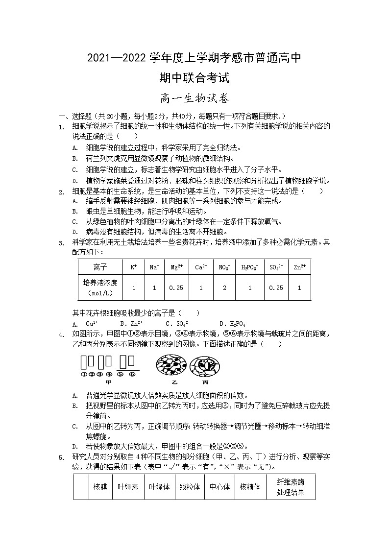 湖北省孝感市普通高中2021-2022学年高一上学期期中联合考试生物试题含答案01