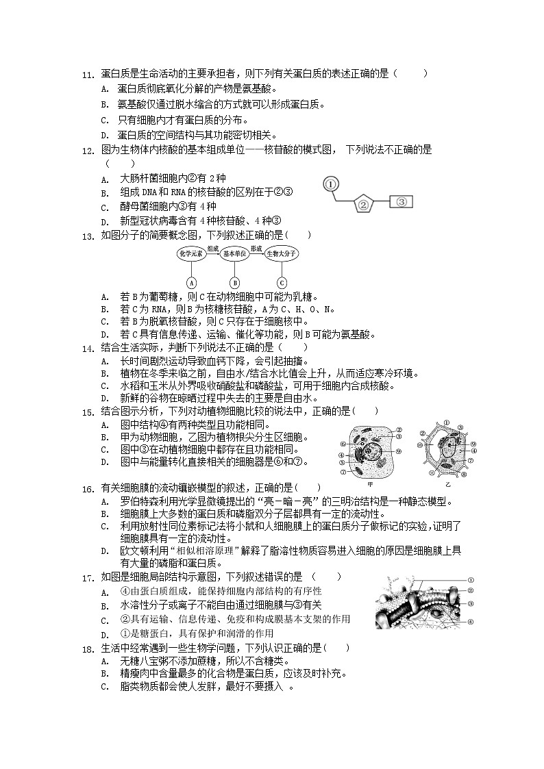湖北省孝感市普通高中2021-2022学年高一上学期期中联合考试生物试题含答案03