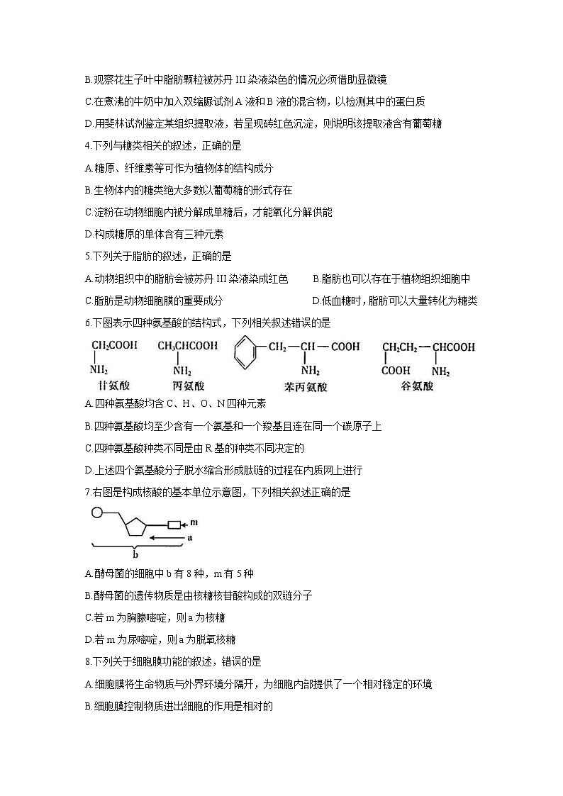 河北省邯郸市九校联盟2021-2022学年高一上学期期中考试生物含答案02