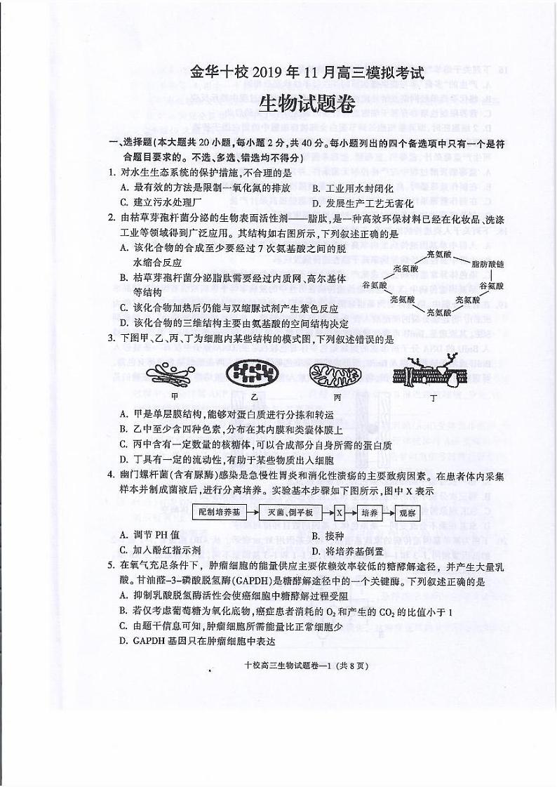 2020届浙江省金华市金华十校高三上学期11月模拟考试 生物 PDF版练习题01
