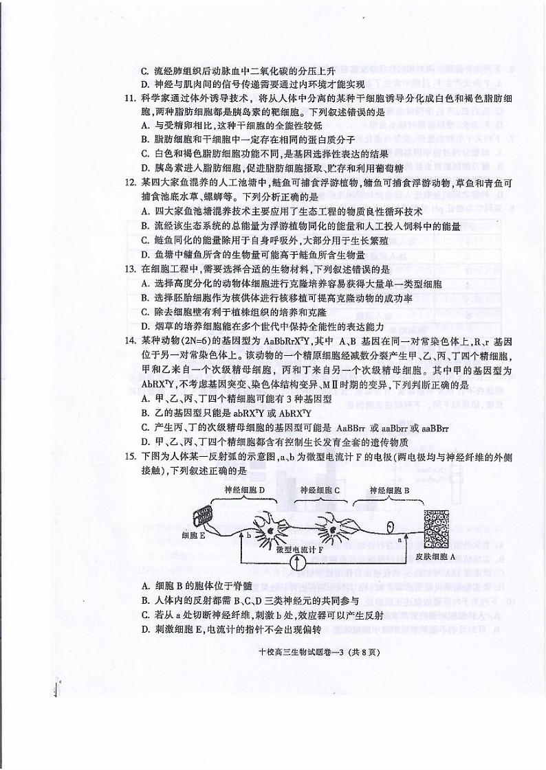 2020届浙江省金华市金华十校高三上学期11月模拟考试 生物 PDF版练习题03