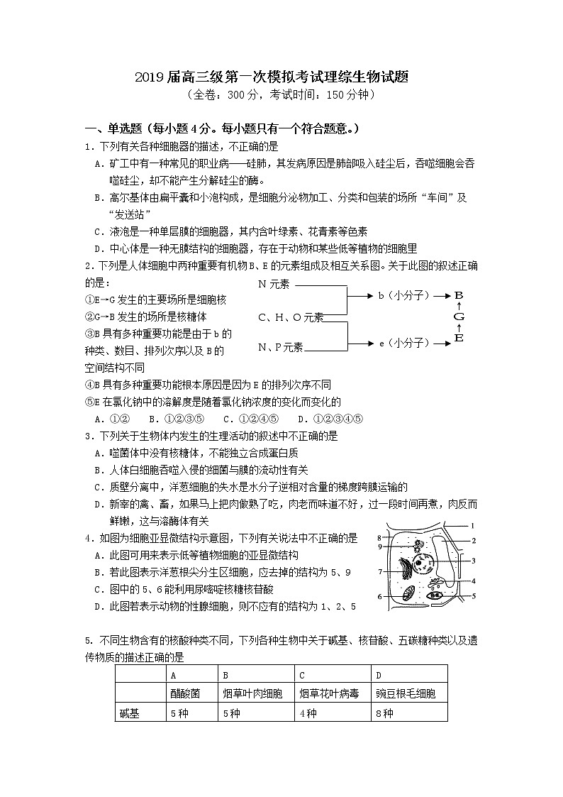 广东省江门市2019届高三上学期第一次模拟考试理综生物试题01