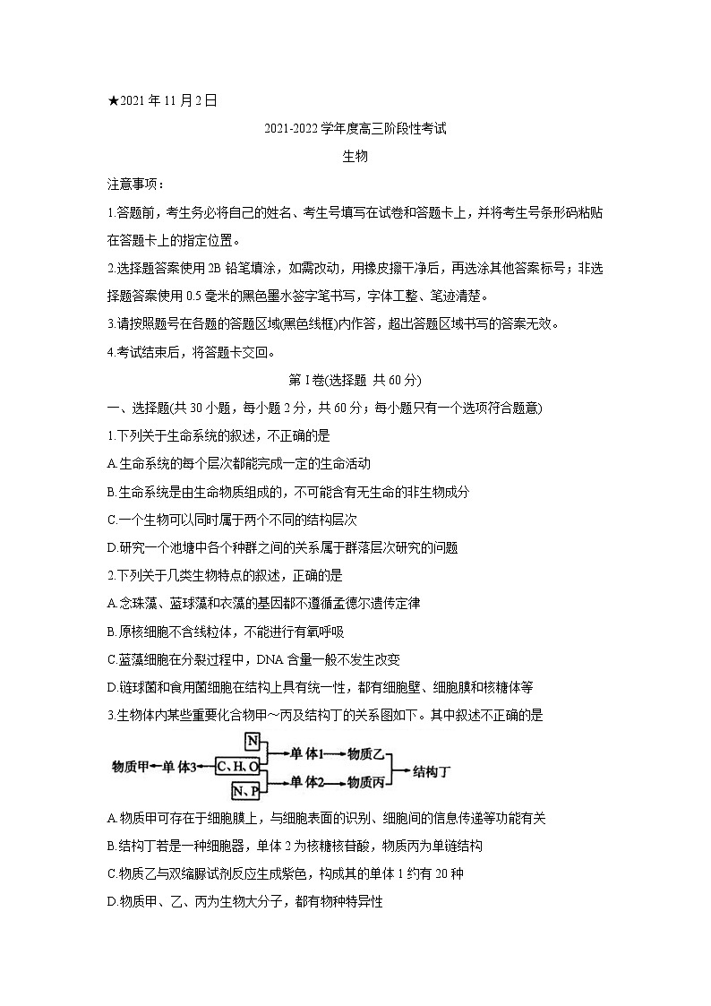 河南省三门峡市2022届高三上学期11月阶段性检测生物含答案01