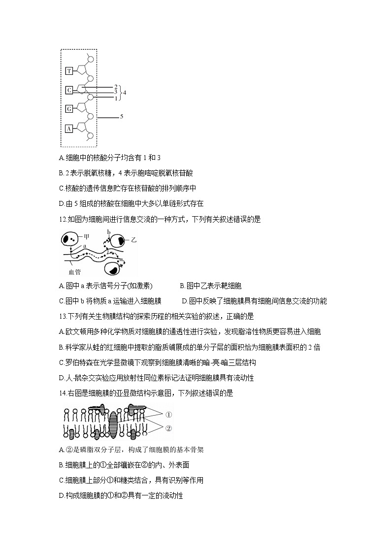 黑龙江省齐齐哈尔市五校联谊2021-2022学年高一上学期期中联考生物含答案第3页