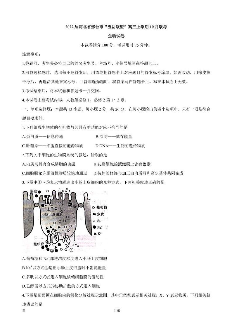 2022届河北省邢台市“五岳联盟”高三上学期10月联考 生物（PDF版含答案）练习题01