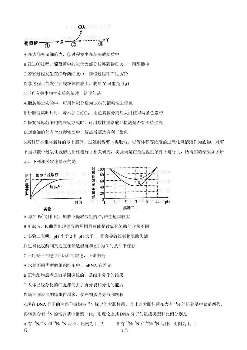 2022届河北省邢台市“五岳联盟”高三上学期10月联考 生物（PDF版含答案）练习题02