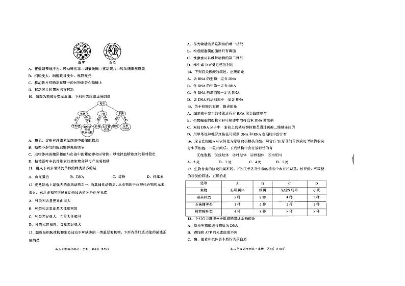 2021届山西省怀仁市高三上学期期中考试生物试题 PDF版02