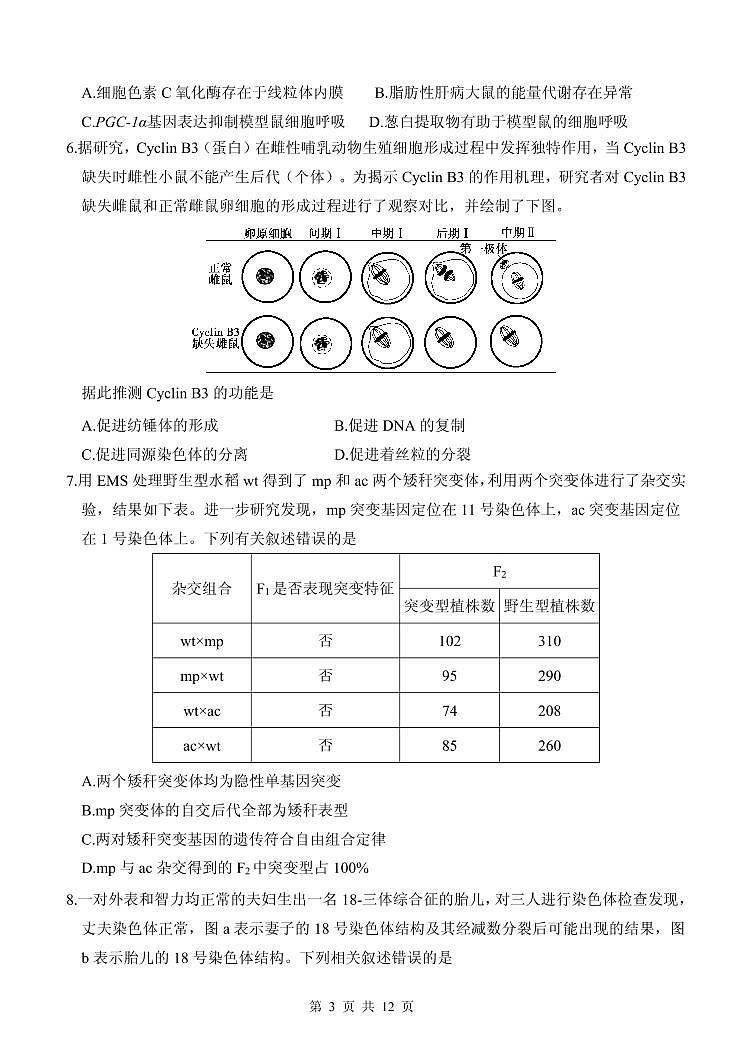 2022届山东省实验中学高三上学期11月二诊考试生物试题 PDF版第3页