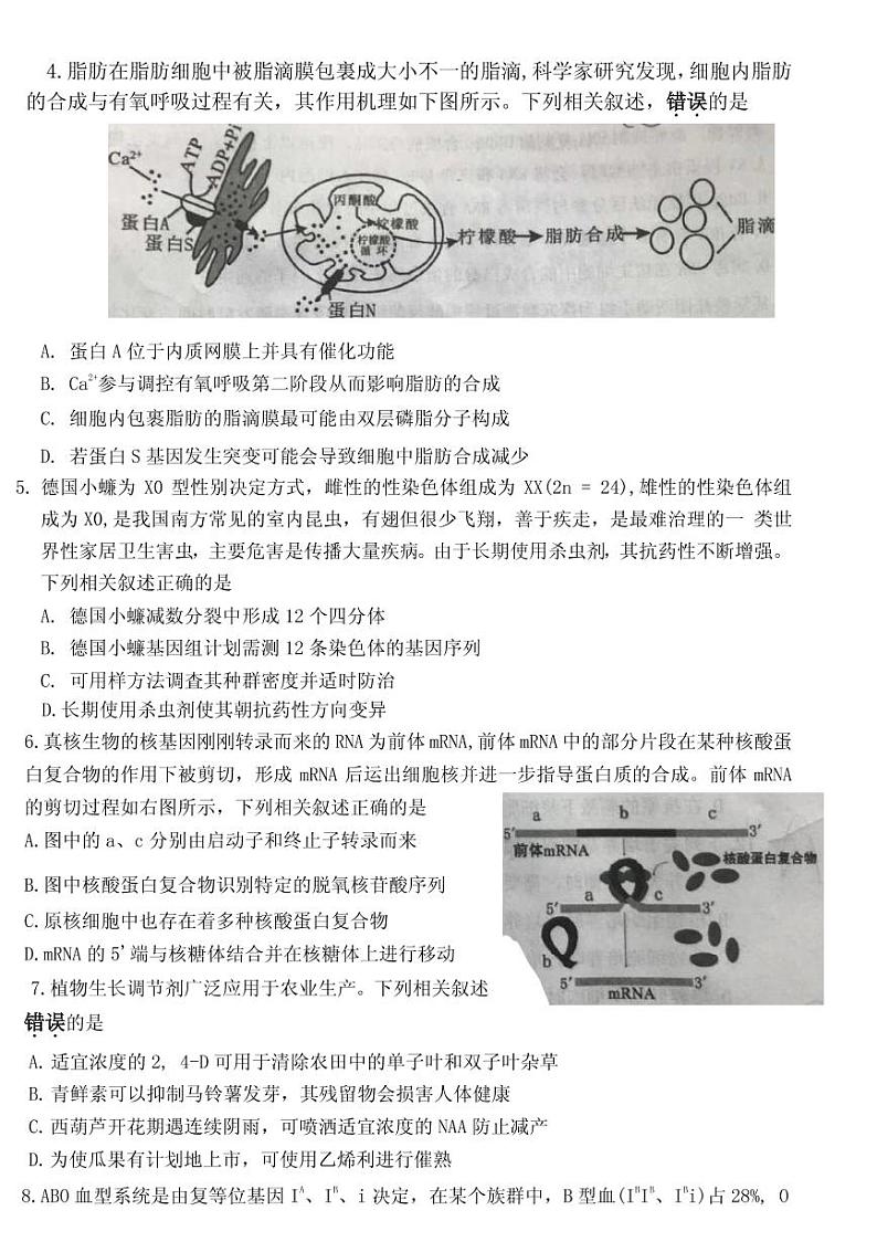 2021届江苏省新高考基地学校高三下学期4月第二次大联考生物试题 PDF版02