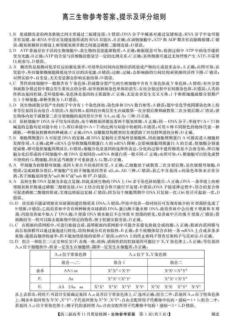 2022届湖北省部分学校高三上学期11月质量检测生物试题（PDF版含答案）01