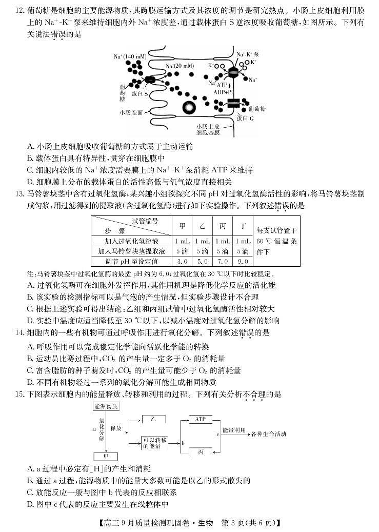 22届名校联盟9月质量检测巩固卷（老高考）-生物第3页