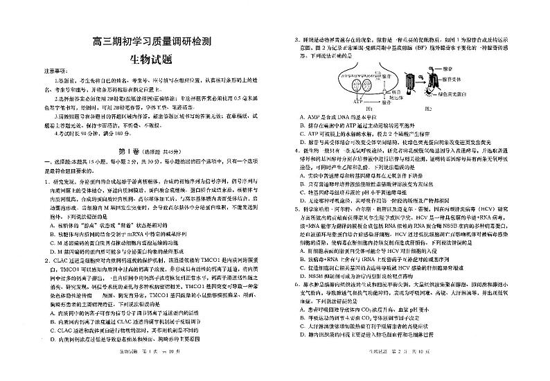 2022届山东省青岛市高三上学期期初学习质量调研检测生物试题（PDF版含答案）01