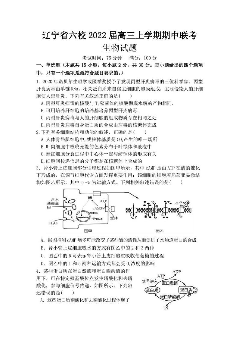 2022届辽宁省六校高三上学期期中联考生物试卷（PDF版含答案）01