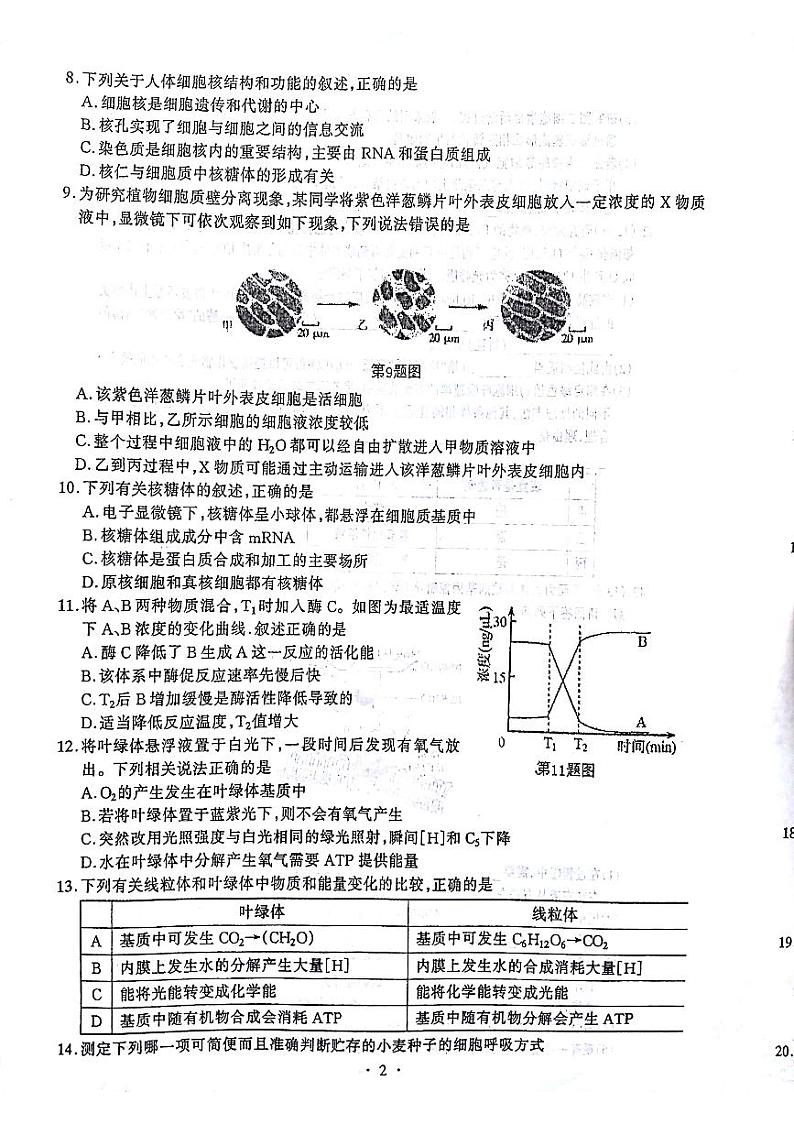2018届湖北省部分重点中学高三上学期第一次联考生物试题（PDF版，含答案）02
