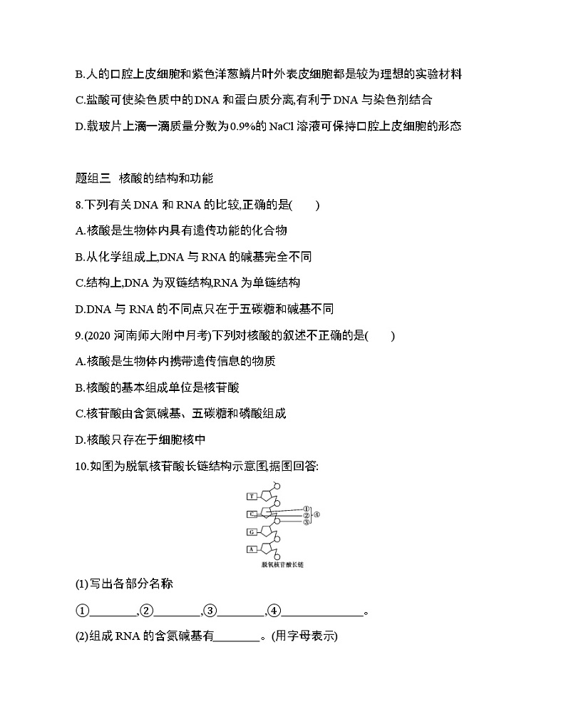 3_第3节 遗传信息的携带者——核酸练习题03